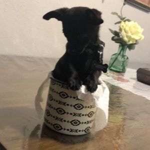 Meet your Posher, Jerry